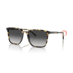 Dolce&Gabbana DG 4424 512/8G 56-19 145