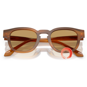 Giorgio Armani AR 8254-U 6163/73 48-22 145 2N