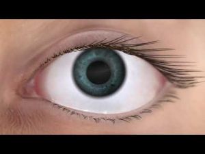 Systane Ultra - 10 ml