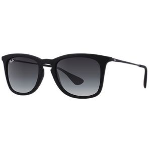 Ray-Ban® RB4221 622/8G 50-19 3N