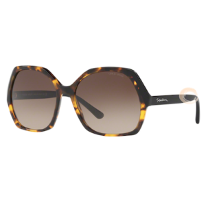 Giorgio Armani AR 8099 5584/13 58-17 140 3N