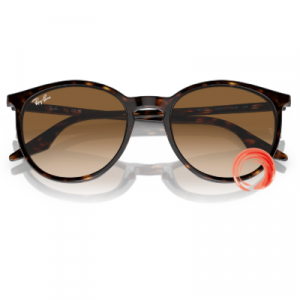 Ray-Ban® RB 2204 902/51 54-20 145 2N