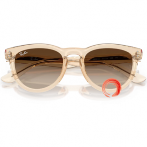 Ray-Ban® RB 2237 6902/13 51-20 145 3N