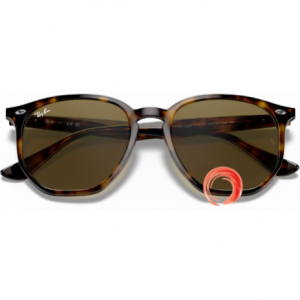 Ray-Ban® RB 4306 710/73 54-19 145 3N