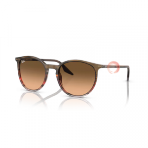 Ray-Ban® RB 2204 1395/3B 54-20 145 2N